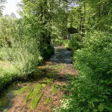 Luxurious Mansion In Near Forest Holiday home Robertville