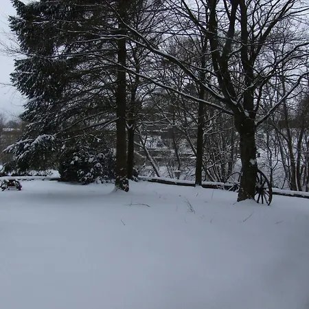 Holiday home Luxurious Mansion In Near Forest Robertville